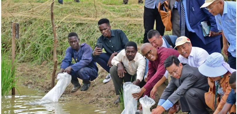 Celebrating Fruits of China’s South-South Cooperation Projects in Uganda